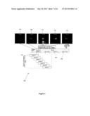 BRAIN-COMPUTER INTERFACE SYSTEM AND METHOD diagram and image