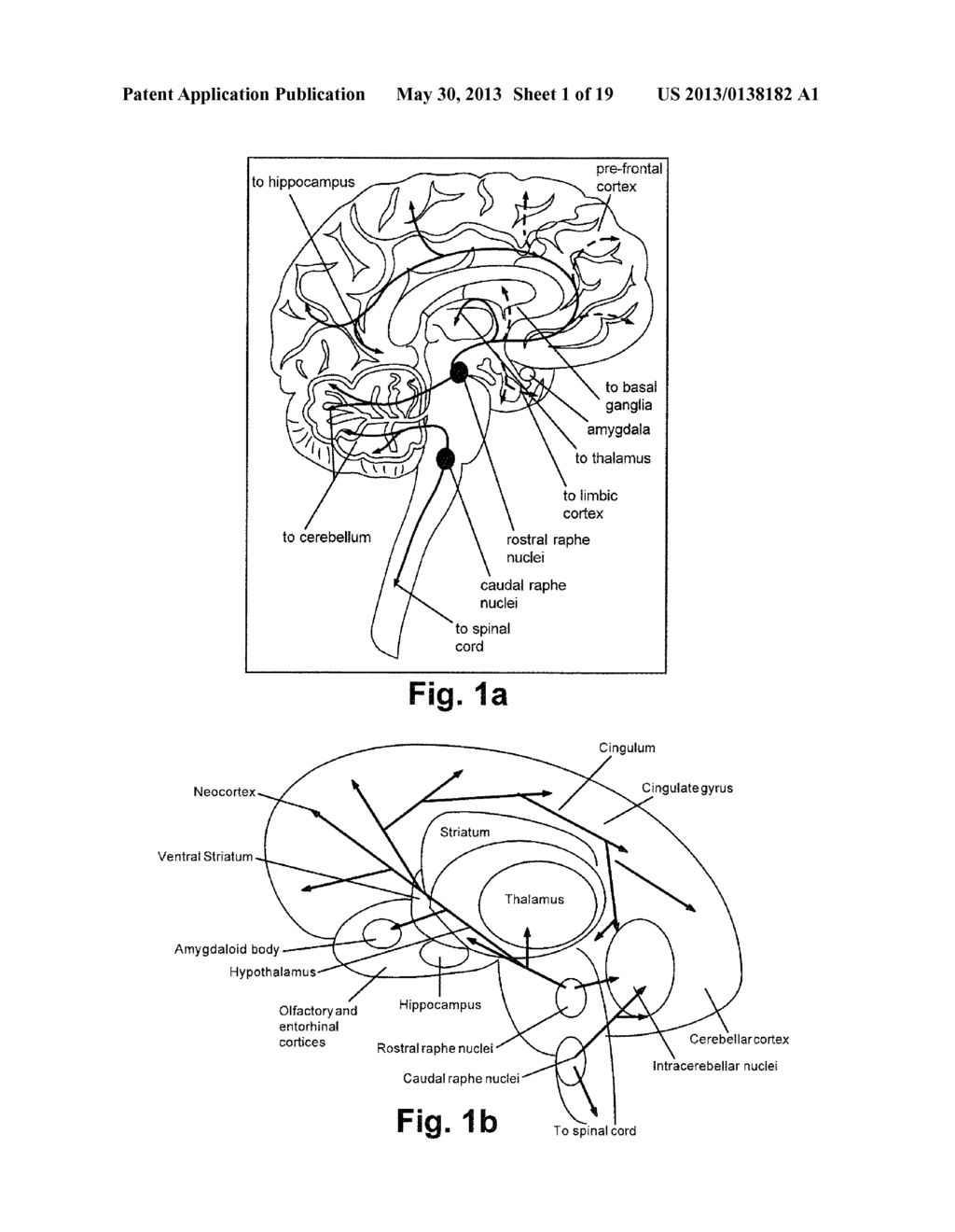 DEVICE AND METHOD FOR ALTERING NEUROTRANSMITTER LEVEL IN BRAIN - diagram, schematic, and image 02