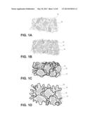 HYDROPHILIC INTERPENETRATING POLYMER NETWORKS DERIVED FROM HYDROPHOBIC     POLYMERS diagram and image