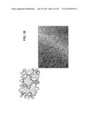 HYDROPHILIC INTERPENETRATING POLYMER NETWORKS DERIVED FROM HYDROPHOBIC     POLYMERS diagram and image