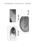 HYDROPHILIC INTERPENETRATING POLYMER NETWORKS DERIVED FROM HYDROPHOBIC     POLYMERS diagram and image