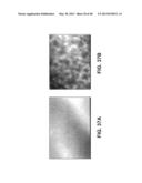 HYDROPHILIC INTERPENETRATING POLYMER NETWORKS DERIVED FROM HYDROPHOBIC     POLYMERS diagram and image