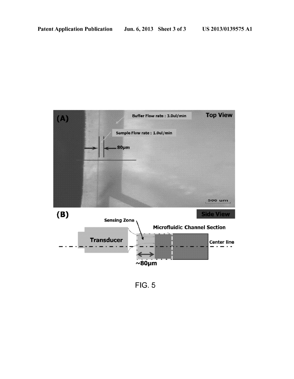 ACOUSTIC PARTICLE SORTING IN MICROFLUIDIC CHANNELS - diagram, schematic, and image 04