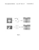 SOLUTION-BASED SYNTHESIS OF CsSnI3 THIN FILMS diagram and image