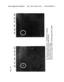 DEVICE FOR TRAPPING BIOLOGICALLY-RELEVANT SUBSTANCES AND SYSTEM FOR     COLLECTING BIOLOGICALLY-RELEVANT SUBSTANCES diagram and image