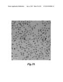 HOST-GUEST MATERIALS HAVING TEMPERATURE-DEPENDENT DUAL EMISSION diagram and image