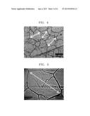 HEXAGONAL BORON NITRIDE SHEET, METHOD OF PREPARING THE HEXAGONAL BORON     NITRIDE SHEET, AND ELECTRONIC DEVICE INCLUDING THE HEXAGONAL BORON     NITRIDE SHEET diagram and image