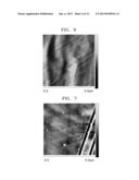 HEXAGONAL BORON NITRIDE SHEET, METHOD OF PREPARING THE HEXAGONAL BORON     NITRIDE SHEET, AND ELECTRONIC DEVICE INCLUDING THE HEXAGONAL BORON     NITRIDE SHEET diagram and image