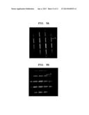 ORGANIC LIGHT EMITTING DEVICE CAPABLE OF REDUCING LEAKAGE CURRENT BETWEEN     PIXELS diagram and image