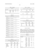 ZOOM LENS SYSTEM, INTERCHANGEABLE LENS APPARATUS AND CAMERA SYSTEM diagram and image