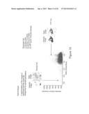 SYSTEMS AND METHODS FOR VOLUMETRIC TISSUE SCANNING MICROSCOPY diagram and image