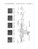 SYSTEMS AND METHODS FOR VOLUMETRIC TISSUE SCANNING MICROSCOPY diagram and image