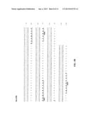 Anti-CD74 Immunoconjugates and Methods of Use diagram and image