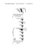 Anti-CD74 Immunoconjugates and Methods of Use diagram and image