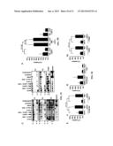 Anti-CD74 Immunoconjugates and Methods of Use diagram and image