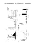 Anti-CD74 Immunoconjugates and Methods of Use diagram and image