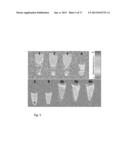 In Vivo Mitochondrial Labeling Using Positively-CHarged Nitroxide Enhanced     and Gadolinum Chelate Enhanced Magnetic Resonance Imaging diagram and image