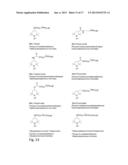 In Vivo Mitochondrial Labeling Using Positively-CHarged Nitroxide Enhanced     and Gadolinum Chelate Enhanced Magnetic Resonance Imaging diagram and image