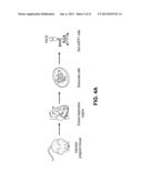 METHODS OF CARDIAC REPAIR diagram and image