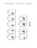 METHODS OF CARDIAC REPAIR diagram and image