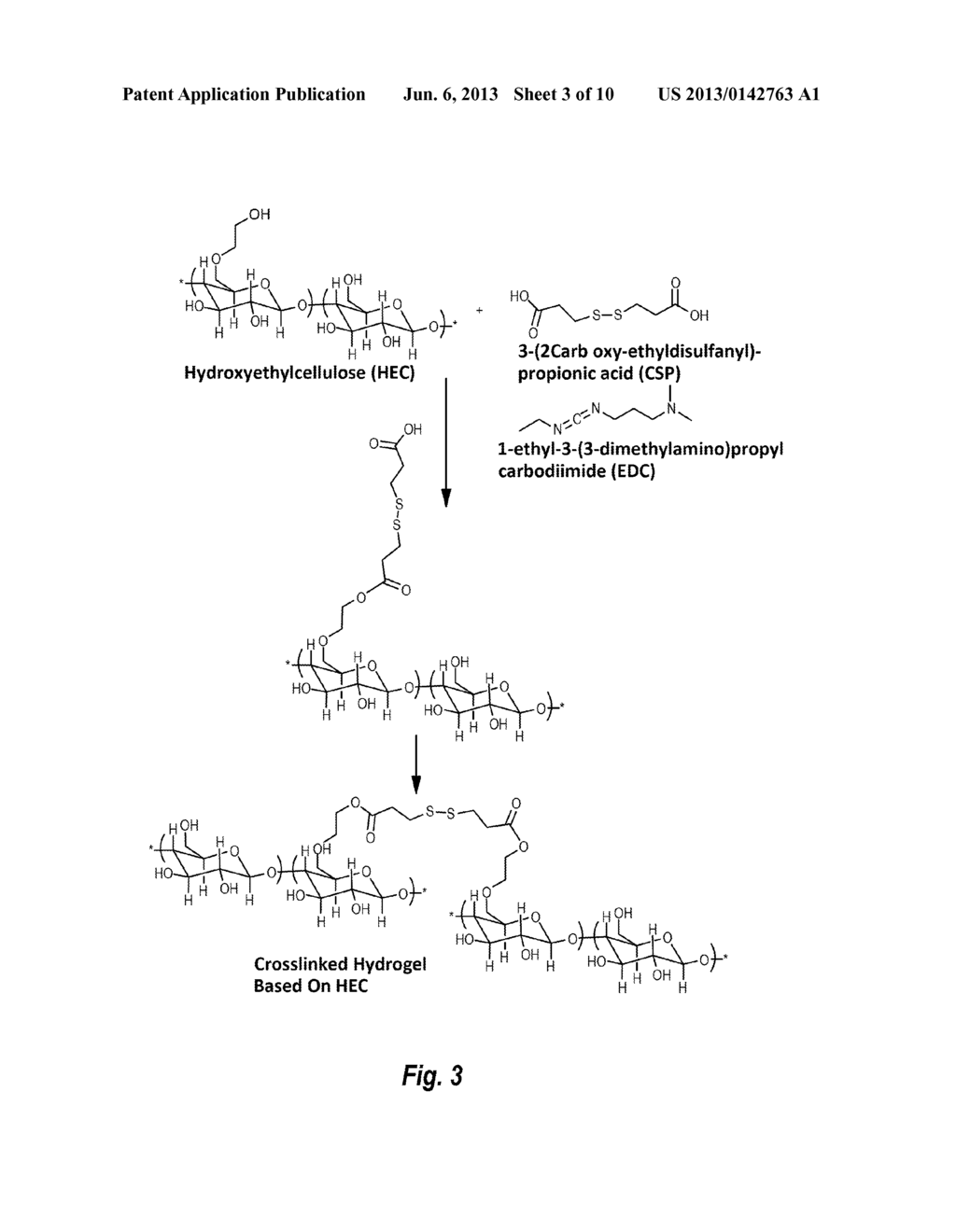 CROSSLINKED CELLULOSIC POLYMERS - diagram, schematic, and image 04