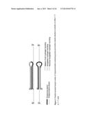 COMPOSITIONS FOR INHIBITING GENE EXPRESSION AND USES THEREOF diagram and image