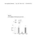 COMPOSITIONS FOR INHIBITING GENE EXPRESSION AND USES THEREOF diagram and image