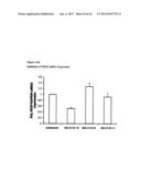 COMPOSITIONS FOR INHIBITING GENE EXPRESSION AND USES THEREOF diagram and image