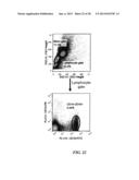 Therapeutic Use of Anti-CD22 Antibodies for Inducing Trogocytosis diagram and image