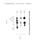 Therapeutic Use of Anti-CD22 Antibodies for Inducing Trogocytosis diagram and image