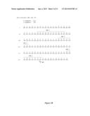 HUMAN MONOCLONAL ANTIBODIES TO FUCOSYL-GM1 AND METHODS FOR USING     ANTI-FUCOSYL-GM1 ANTIBODIES diagram and image