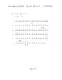 HUMAN MONOCLONAL ANTIBODIES TO FUCOSYL-GM1 AND METHODS FOR USING     ANTI-FUCOSYL-GM1 ANTIBODIES diagram and image