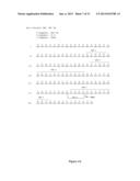 HUMAN MONOCLONAL ANTIBODIES TO FUCOSYL-GM1 AND METHODS FOR USING     ANTI-FUCOSYL-GM1 ANTIBODIES diagram and image