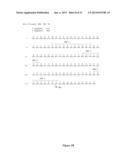 HUMAN MONOCLONAL ANTIBODIES TO FUCOSYL-GM1 AND METHODS FOR USING     ANTI-FUCOSYL-GM1 ANTIBODIES diagram and image