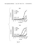 HUMAN MONOCLONAL ANTIBODIES TO FUCOSYL-GM1 AND METHODS FOR USING     ANTI-FUCOSYL-GM1 ANTIBODIES diagram and image