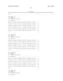 HUMAN MONOCLONAL ANTIBODIES TO FUCOSYL-GM1 AND METHODS FOR USING     ANTI-FUCOSYL-GM1 ANTIBODIES diagram and image