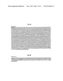 RECOMBINANT INFLUENZA VIRUS-LIKE PARTICLES (VLPS) PRODUCED IN TRANSGENIC     PLANTS EXPRESSING HEMAGGLUTININ diagram and image