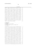 RECOMBINANT INFLUENZA VIRUS-LIKE PARTICLES (VLPS) PRODUCED IN TRANSGENIC     PLANTS EXPRESSING HEMAGGLUTININ diagram and image