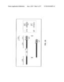 Mutant Parasites for Use as Vaccines and Platforms for Screening for     Compounds diagram and image