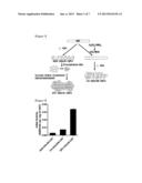 ENZYME/CARBON STRUCTURE COMPLEX, METHOD FOR PREPARING SAME, AND USE     THEREOF diagram and image