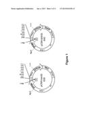 PROCEDURE FOR THE GENERATION OF A HIGH PRODUCER CELL LINE FOR THE     EXPRESSION OF A RECOMBINANT ANTI-CD34 ANTIBODY diagram and image