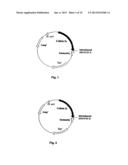 METHOD OF PRODUCING THE POLYPEPTIDE FOR TREATING VIRUS-INDUCED CANCER diagram and image
