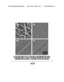 Bionanomaterials and Their Synthesis diagram and image