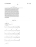 Methods and Compositions for the Recombinant Biosynthesis of Fatty Acids     and Esters diagram and image