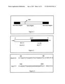 METHOD FOR DETECTING GENE REGION FEATURES BASED ON INTER-ALU POLYMERASE     CHAIN REACTION diagram and image