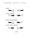 METHOD FOR DETECTING GENE REGION FEATURES BASED ON INTER-ALU POLYMERASE     CHAIN REACTION diagram and image