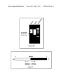 METHOD FOR DETECTING GENE REGION FEATURES BASED ON INTER-ALU POLYMERASE     CHAIN REACTION diagram and image