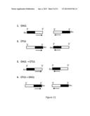METHOD FOR DETECTING GENE REGION FEATURES BASED ON INTER-ALU POLYMERASE     CHAIN REACTION diagram and image