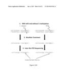 METHOD FOR DETECTING GENE REGION FEATURES BASED ON INTER-ALU POLYMERASE     CHAIN REACTION diagram and image