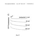 INHIBITORS OF CALCIUM-ACTIVATED CHLORIDE CHANNELS diagram and image